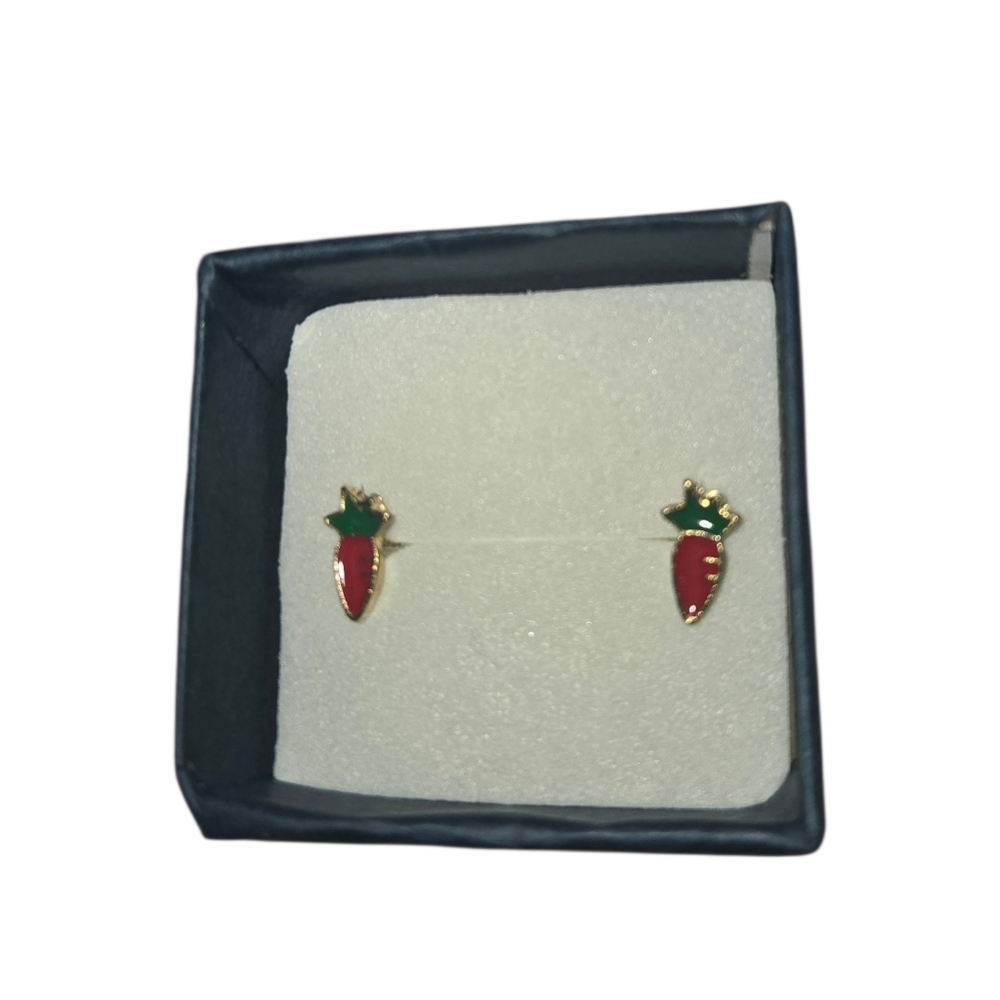 Carrot Earrings (NWOT)